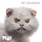 Pet Sematary - MIAU lyrics