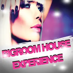 Bigroom House Experience by Various Artists album reviews, ratings, credits