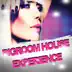 Bigroom House Experience album cover