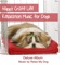 Sweet Snoring - Relaxmydog lyrics