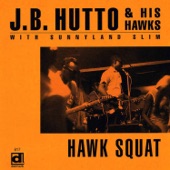 Hawk Squat (feat. Sunnyland Slim) artwork