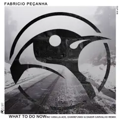 What to Do Now - Single by Fabricio Pecanha album reviews, ratings, credits