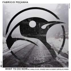 Fabricio Pecanha - What to Do Now