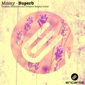 Superb (Gregory Esayan Remix) artwork