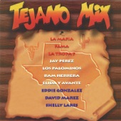 Various Artists - Tejano Megamix