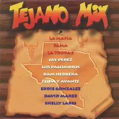 Tejano Megamix (Long Version) Song Lyrics