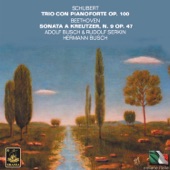 Piano Trio in E-Flat Major, Op. 100: III. Scherzo: allegro molto artwork