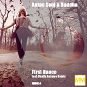 First Dance (Danila Antares Remix) artwork