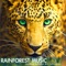 Rainforest Rain Music - Rainforest Music Lullabies Ensemble lyrics