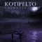 Reasons - Kotipelto lyrics