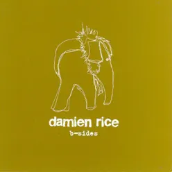 B Sides - Damien Rice