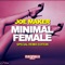 Minimal Female (Leechy Alexej Remix) - Joe Maker lyrics