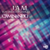 Caminando (feat. Omer Fernandez) [Radio Edit] artwork