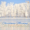 Christmas Morning, Vol. 14