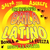 Salta 2000 artwork
