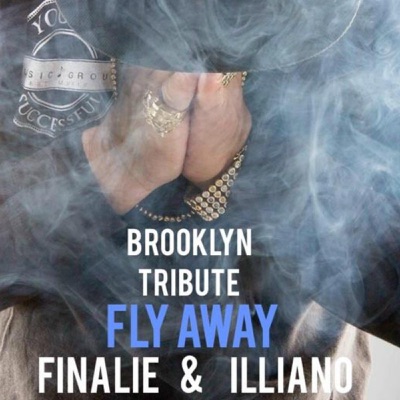 Fly Away Brooklyn Finalie Feat Illiano Shazam shazam