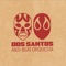 Roberto's Lament (feat. Olmeca) - Dos Santos Anti-Beat Orquesta lyrics