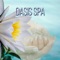 Soft Piano & New Age Healing Nature Music - Wellness Spa Oasis lyrics
