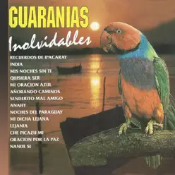 Guaranias Inolvidables - Herminio Giménez