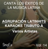 Agrupacion LatinHits - Ingrata (In the Style of Café Tacuba)