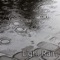 Light Rain - TMSOFT lyrics