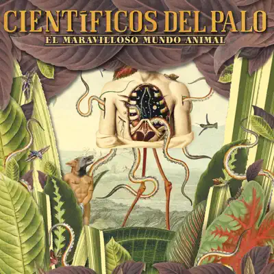 El Maravilloso Mundo Animal - Científicos del palo El Maravilloso Mundo Animal - Científicos del palo