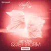 Quiet Storm (Remixes) [Extended Versions] album lyrics, reviews, download