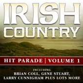 Hit Parade - Volume 1 (Irish Country Hit Parade ) artwork