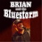 Bluesman from New Brunswick - Brian and the Bluestorm lyrics