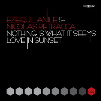 Nothing Is What It Seems by Ezequiel Anile & Nicolas Petracca song reviws