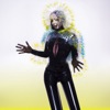 Vulnicura artwork