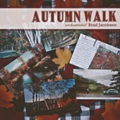 Autumn Walk (Orchestrated) [feat. Doug Hammer] artwork