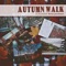 Autumn Walk (Orchestrated) [feat. Doug Hammer] artwork