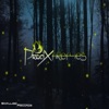 Fireflies - Single