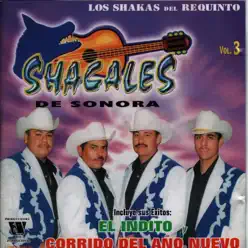 Nunca Te Olvidare - Shacales De Sonora Nunca Te Olvidare - Shacales De Sonora