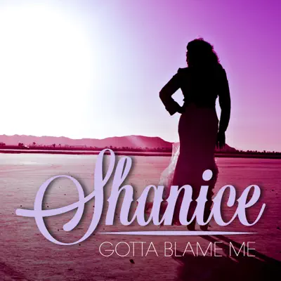 Gotta Blame Me - Single - Shanice