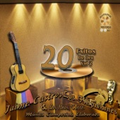 20 Éxitos de Oro, Vol. 2 artwork