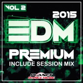 EDM Premium 2015, Vol. 2. artwork