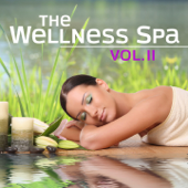 The Wellness Spa, Vol. 2 - Various Artists