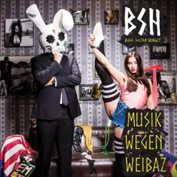 Musik wegen Weibaz (Premium Edition) - Bass Sultan Hengzt Musik wegen Weibaz (Premium Edition) - Bass Sultan Hengzt