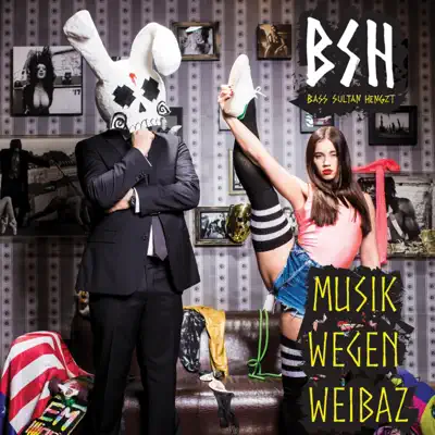 Musik wegen Weibaz (Premium Edition) - Bass Sultan Hengzt