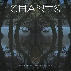 We Are All Underwater by Chants album reviews, ratings, credits