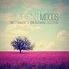 AMBIENT MOODS: Finest Ambient & New Age Music Selection