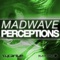 Perceptions - DJ Madwave lyrics