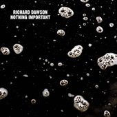 Richard Dawson - The Vile Stuff