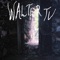 Neighbour - Walter TV lyrics