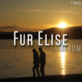 ℗ 2014 Fur Elise