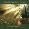 Excitabo Auroram album lyrics, reviews, download
