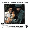 Jah Shaka Meets Horace Andy (feat. Jah Shaka)