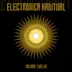 Electronica Habitual, Vol. 12 album cover